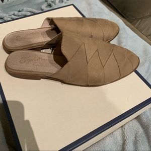 Seychelles survival mule